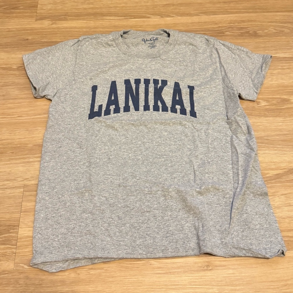 Brandy Melville Gray Tee with Navy Print